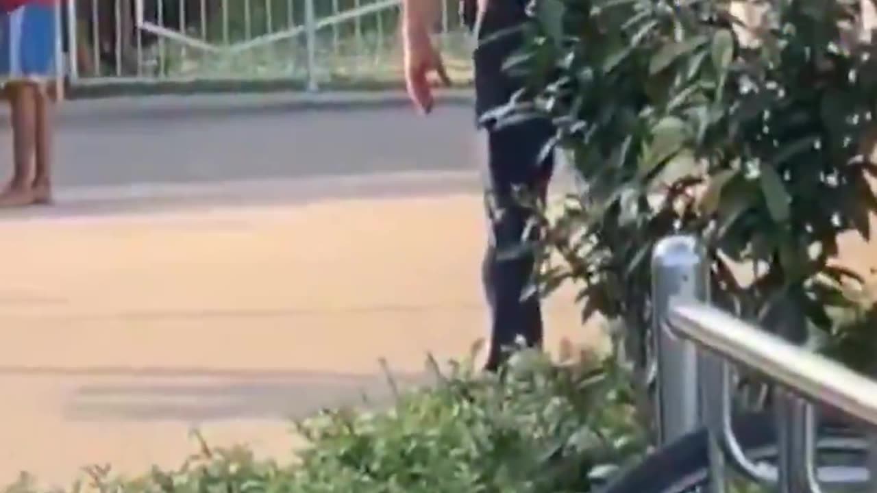 Germany A migrant can destroy a police car while the police watch.