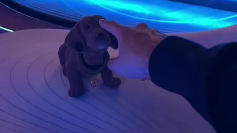 🚀😎 The Fastest Mercedes Benz AMG GT R Acceleration You've Ever Seen! | LuxurySportsCars