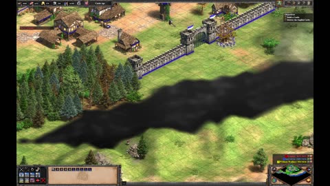 Age of Empires II