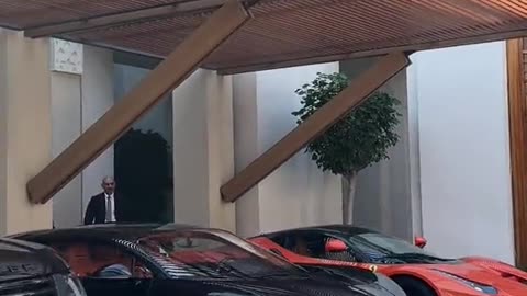 💨🔥 This Car's Sound is PURE Symphony! | LuxurySportsCars