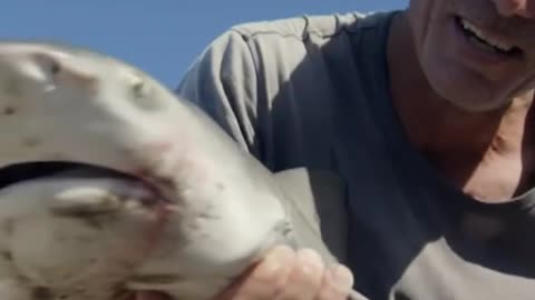 Dramatic moments snake catching gecko #NatureLovers #photochallenge #wildlife #nature #africa