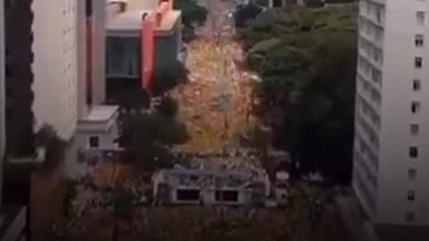 A VOZ DO HOMEM QUE OS CONVOCAVAM FOI SILENCIADA, AGORA O POVO TÊM QUE MOSTRAR SUA FORÇA, 🇧🇷 7 DE SETEMBRO TÊM QUE SER GIGANTE❗ PELA LIBERDADE DE TODOS, SOMOS BOLSONARO ❗