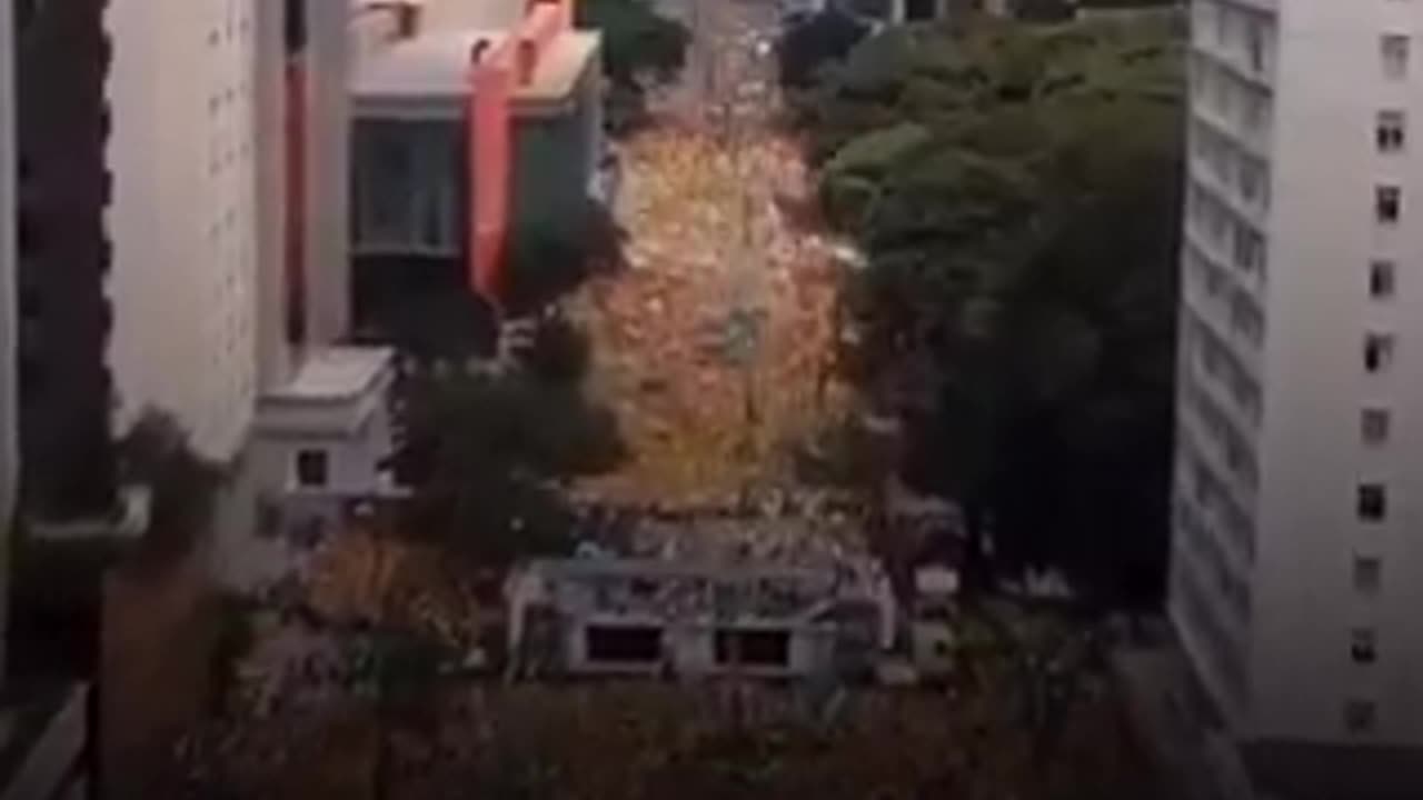 A VOZ DO HOMEM QUE OS CONVOCAVAM FOI SILENCIADA, AGORA O POVO TÊM QUE MOSTRAR SUA FORÇA, 🇧🇷 7 DE SETEMBRO TÊM QUE SER GIGANTE❗ PELA LIBERDADE DE TODOS, SOMOS BOLSONARO ❗