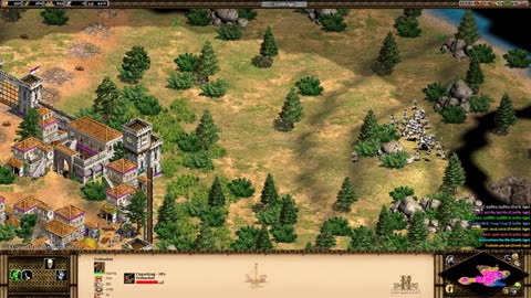 PC Longplay - Age of Empires II HD Edition - WW - 21-50
