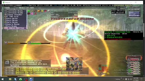 Playing Final Fantasy XI Online