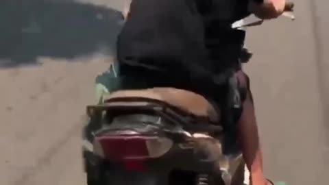 THE HANDSOME ONE IS RIDING 🤣#funny