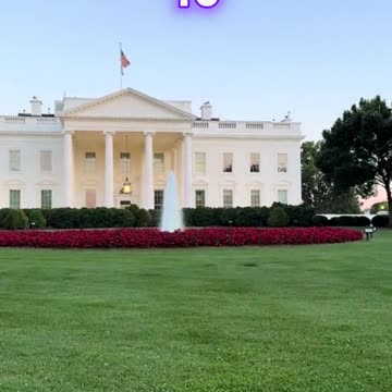 Trump's Tariffs effects on you 👀