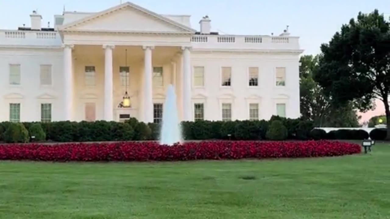 Trump's Tariffs effects on you 👀