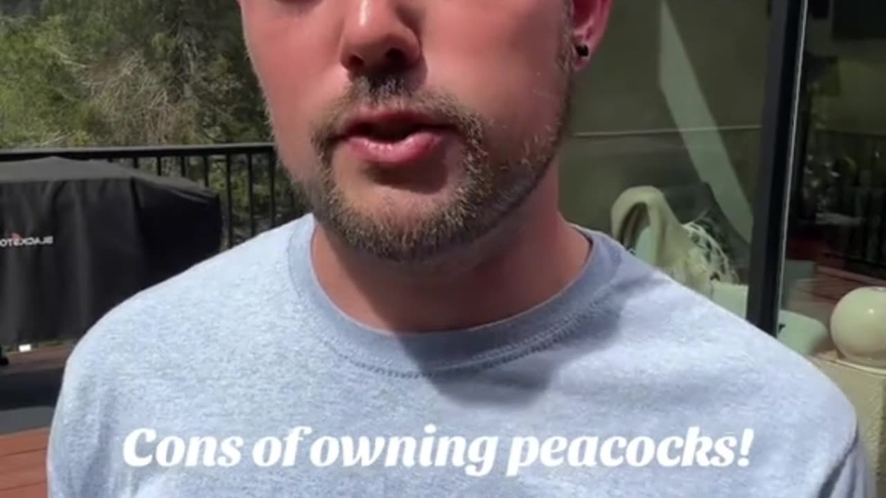 Cons of owning peacocks