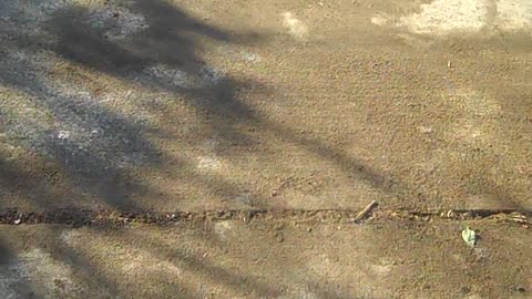 Alright Steve, We are starting to look good on