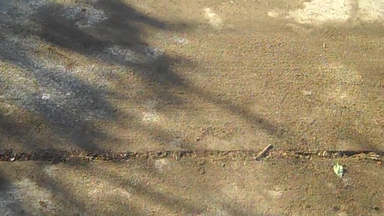 Alright Steve, We are starting to look good on