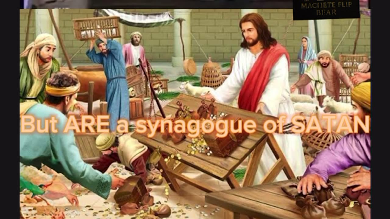 Original meme by machete flip bear