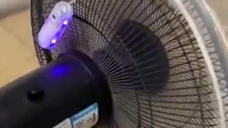 Homemade mosquito catcher