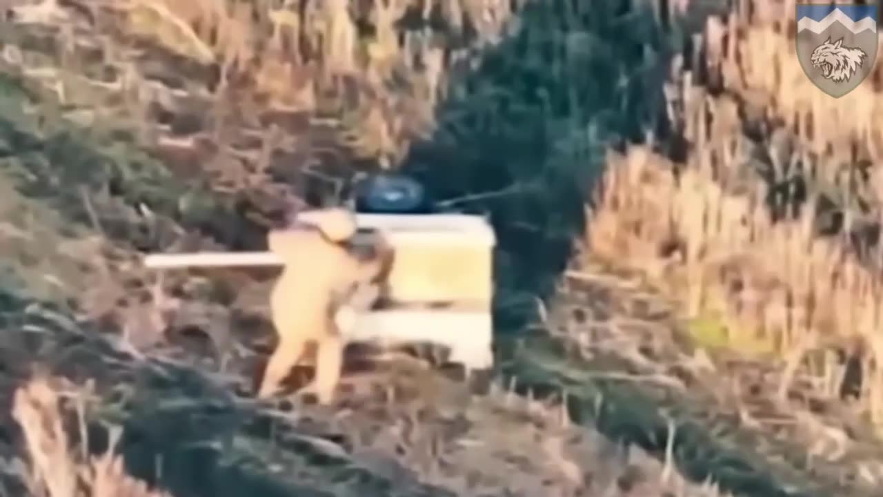 Russian Soldier Goes Full Hermit Crab