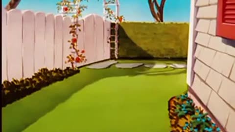 Tom and Jerry Cartoon