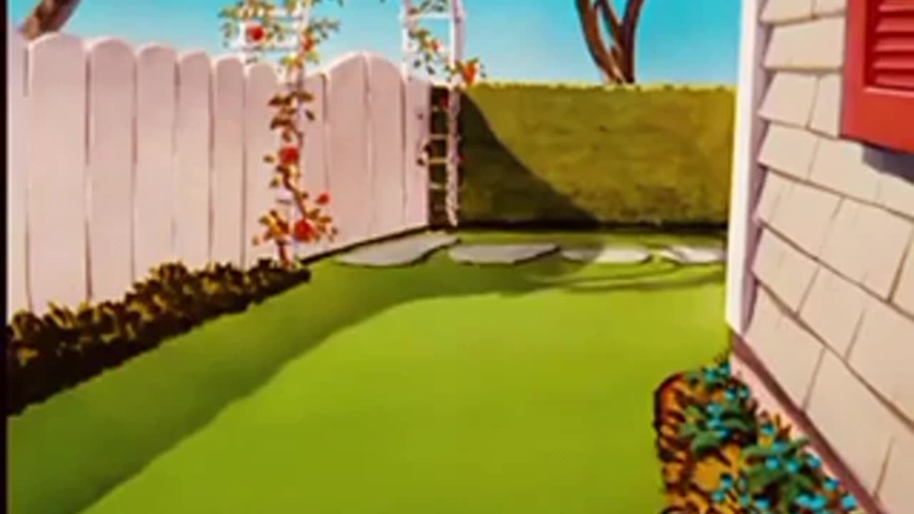Tom and Jerry Cartoon
