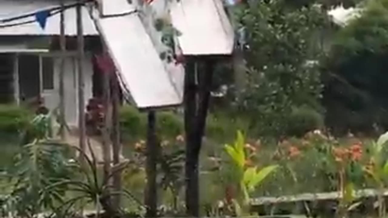 Holy bacon diver!