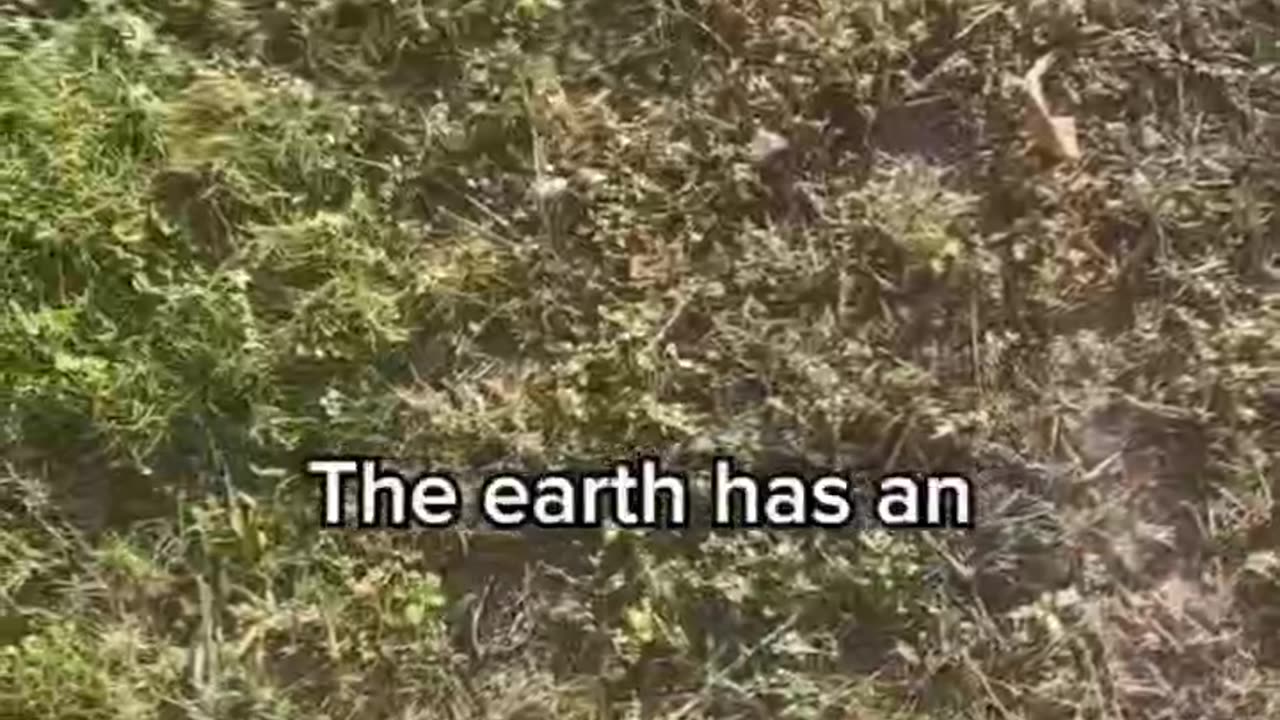 Earthing