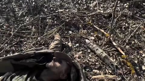 Ukraine war combat footage 3/15/25