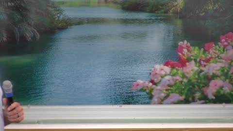 The Eagle in the Storm