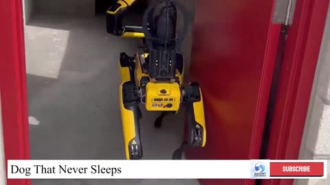 Trump’s Robo-Dog: Spot Never Sleeps