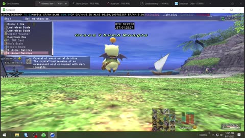 Playing Final Fantasy XI Online