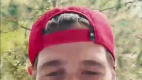 S13 Episode 8 Chocolate Glue Strain Review