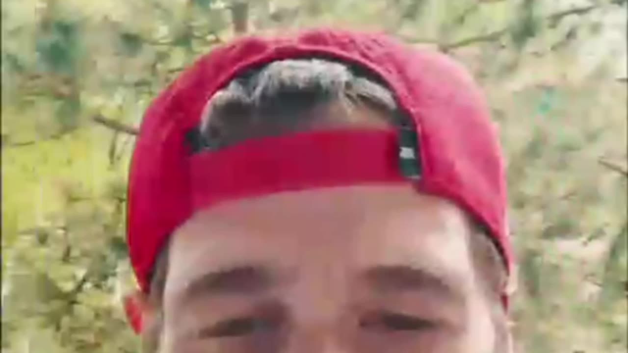 S13 Episode 8 Chocolate Glue Strain Review