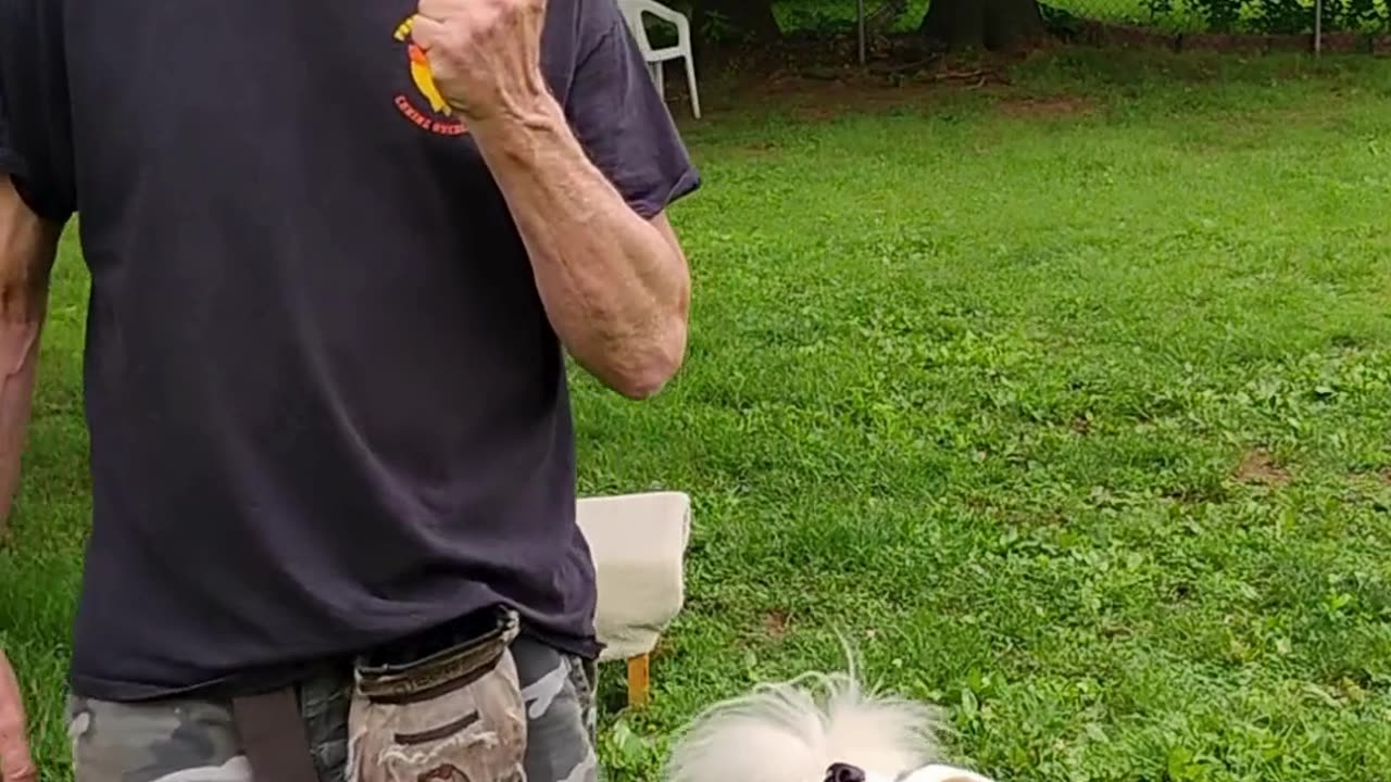 Shaping the Heel cue short 4