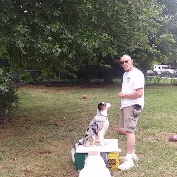 Platform & Balance Beam sections 10