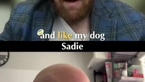 Dogs Are Better Than Humans - Chris Explains Why!