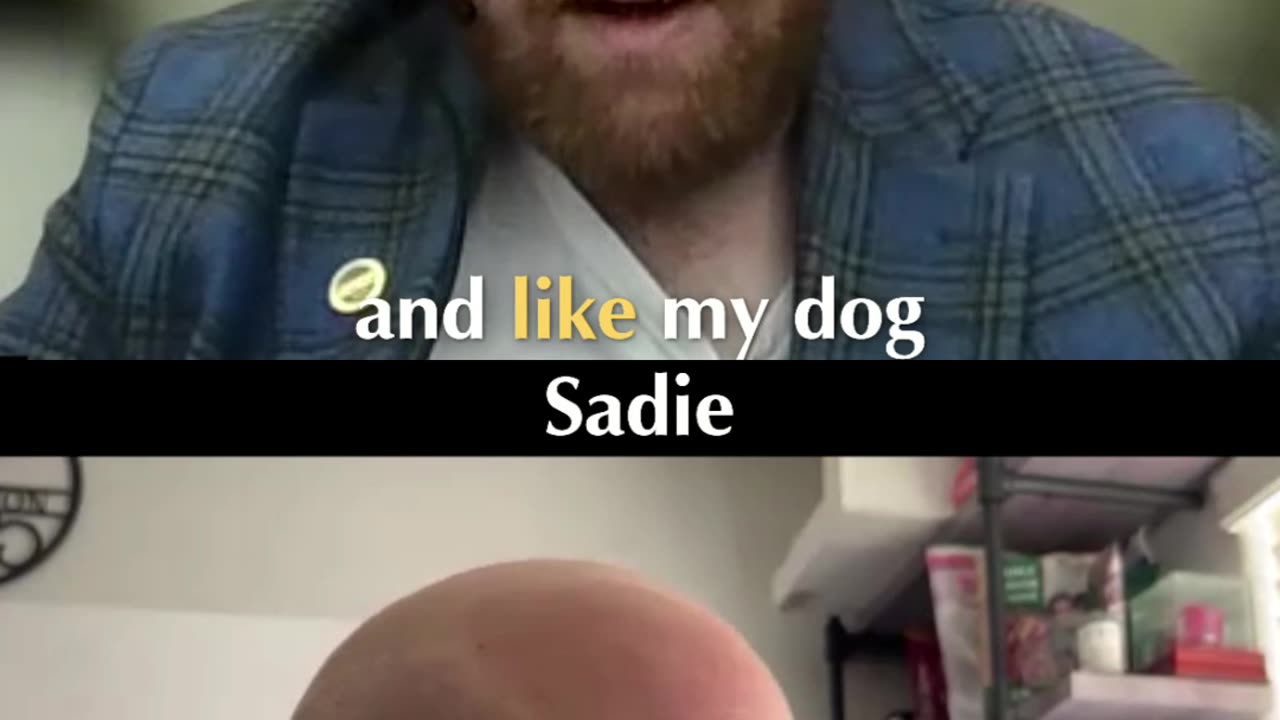 Dogs Are Better Than Humans - Chris Explains Why!