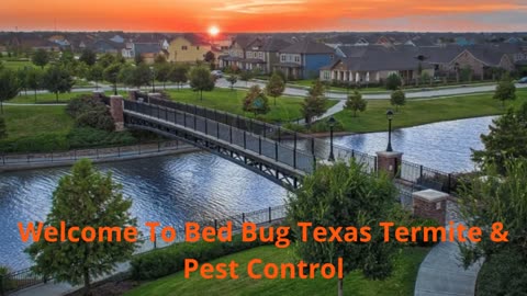 Bed Bug Texas Termite & Pest Control Company in Bridgeland