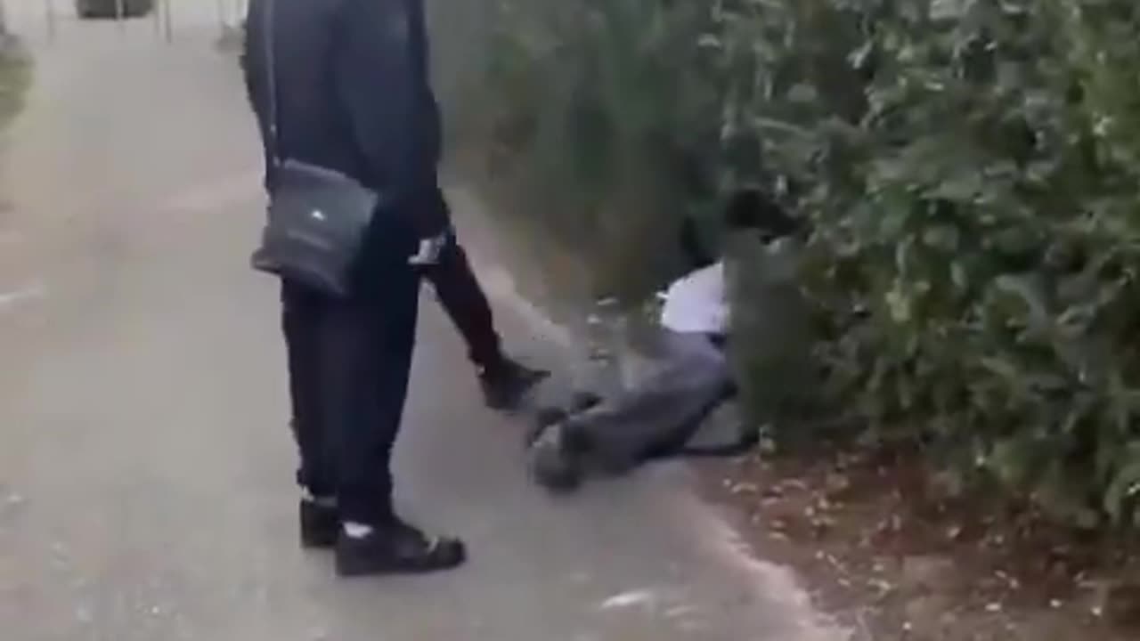 Migrant scum attack lone White kid