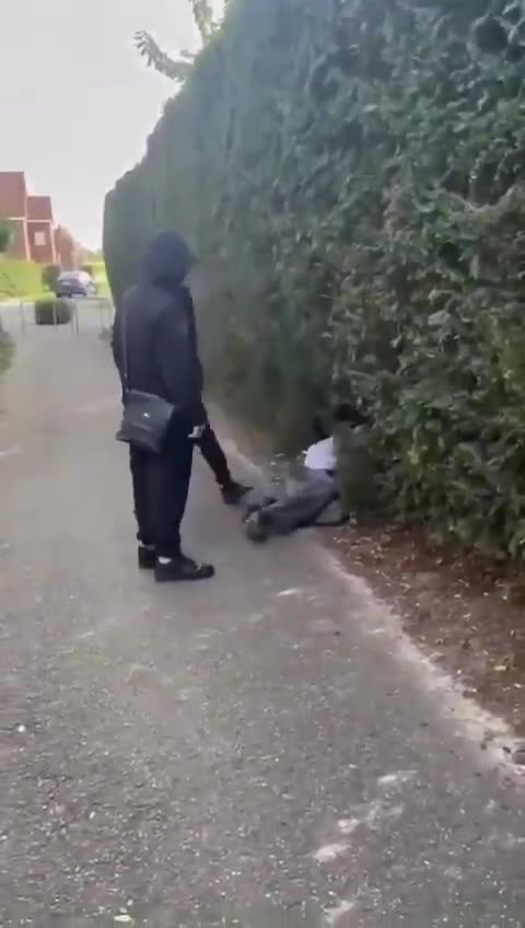 Migrant scum attack lone White kid