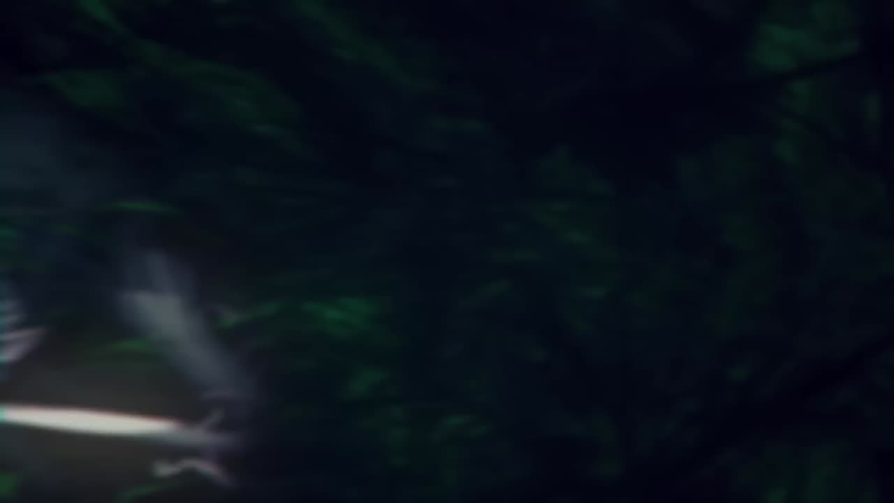 Creatures of Madness(1080P_HD)