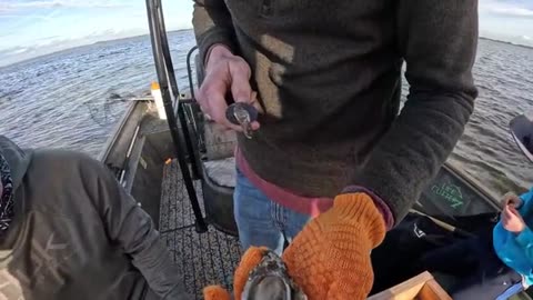 14 Days Hunting, Fishing & Crabbing Florida_part10
