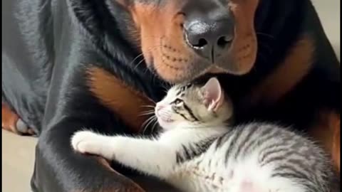 Frends