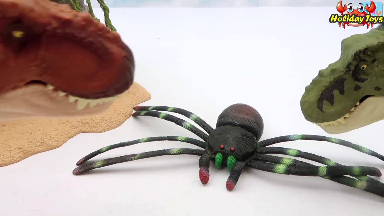 Ancient Spiders Made Strong Nests at the Mouths of Cave