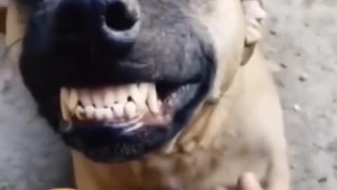 Watch what you eat