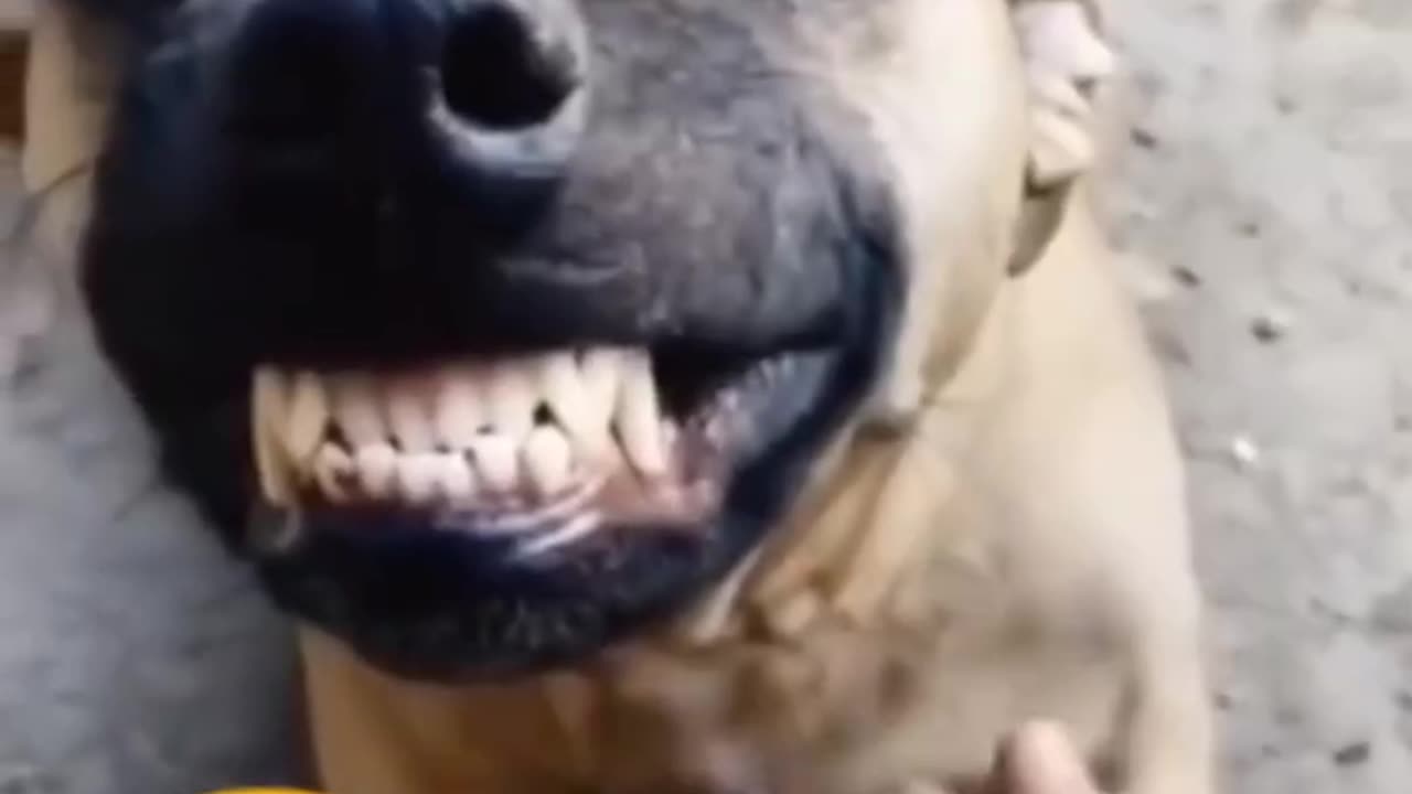 Watch what you eat