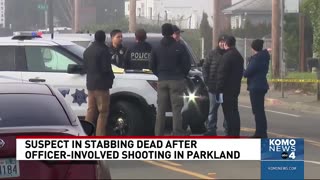 Suspect Allegedly Targeted Christian Man, Stabbed Him and Dog Before Police Shooting