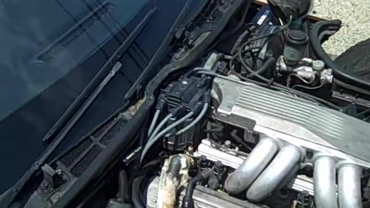 corvette 2 ON THE SHEA SHOW