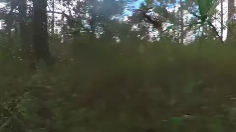 Adventurer Riding