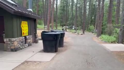 Sin City Outdoors