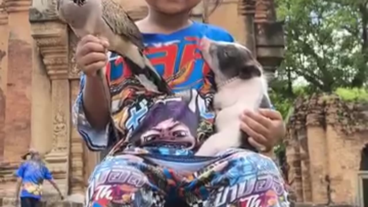 Video for kids 💞🥰🌺
