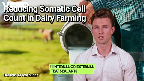 15 Effective Strategies to Lower Somatic Cell Count(SCC)