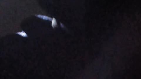 VID 20241103 183702