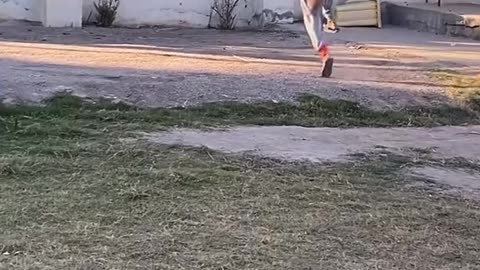 Comedy clips