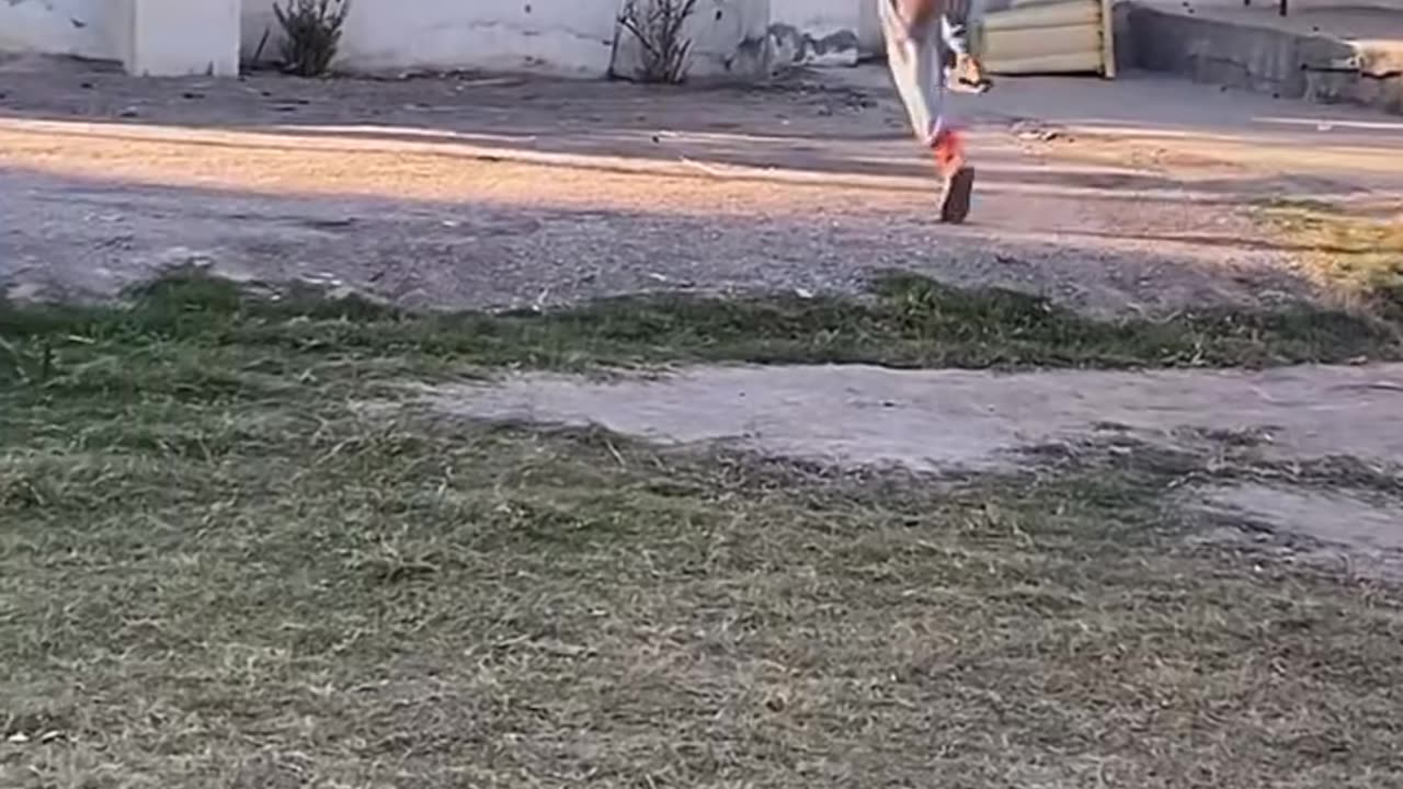 Comedy clips